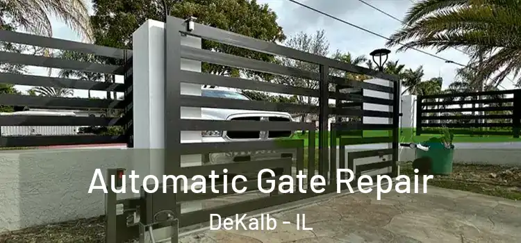  Automatic Gate Repair DeKalb - IL