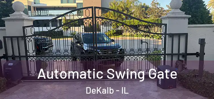 Automatic Swing Gate DeKalb - IL