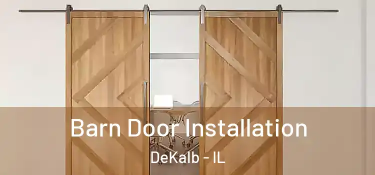  Barn Door Installation DeKalb - IL