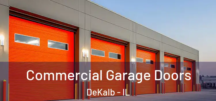  Commercial Garage Doors DeKalb - IL