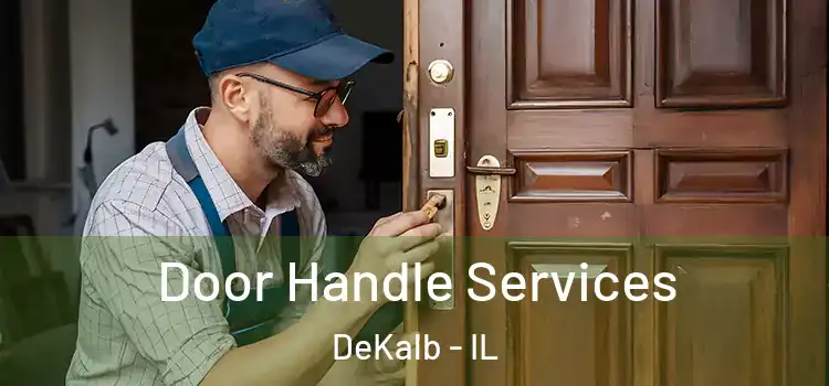  Door Handle Services DeKalb - IL