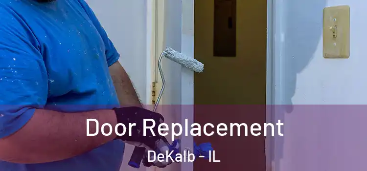  Door Replacement DeKalb - IL