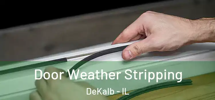  Door Weather Stripping DeKalb - IL