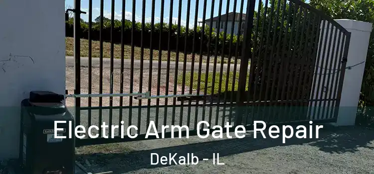 Electric Arm Gate Repair DeKalb - IL