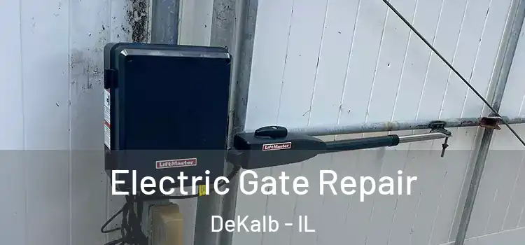  Electric Gate Repair DeKalb - IL