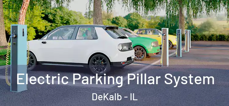  Electric Parking Pillar System DeKalb - IL