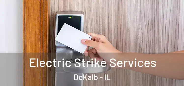  Electric Strike Services DeKalb - IL