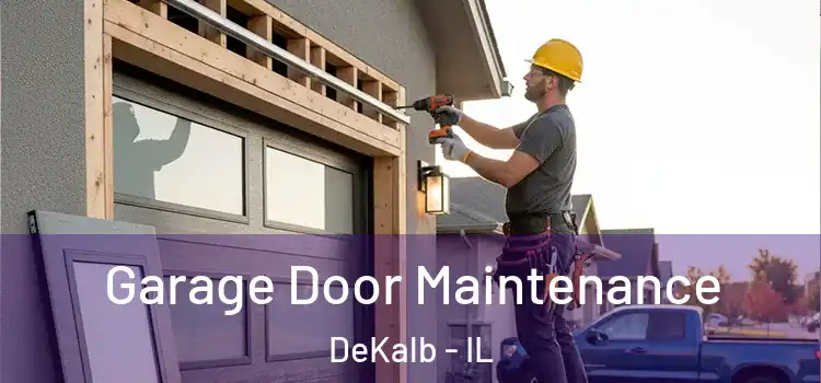  Garage Door Maintenance DeKalb - IL