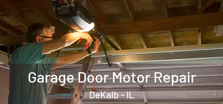  Garage Door Motor Repair DeKalb - IL