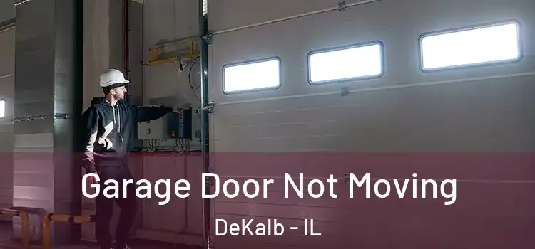  Garage Door Not Moving DeKalb - IL