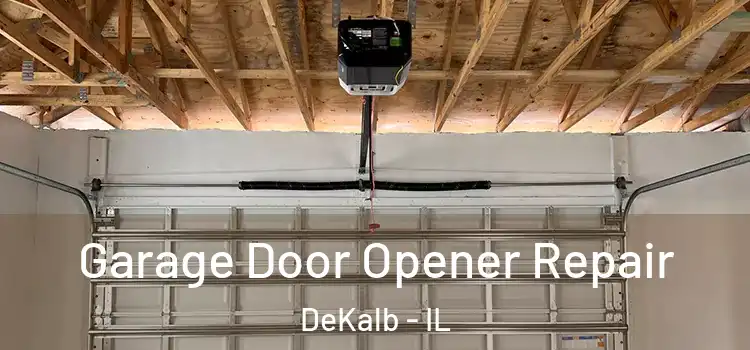  Garage Door Opener Repair DeKalb - IL