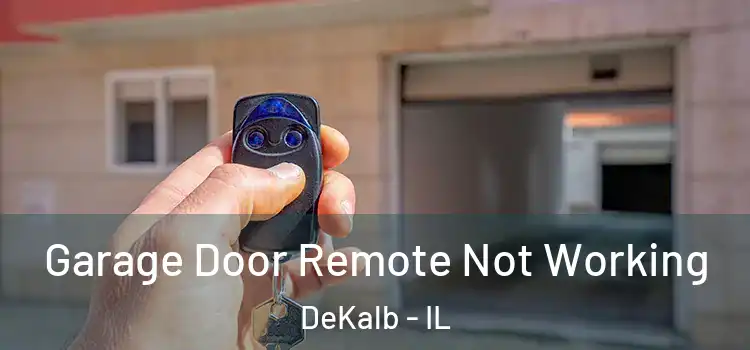  Garage Door Remote Not Working DeKalb - IL
