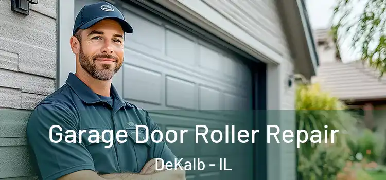  Garage Door Roller Repair DeKalb - IL