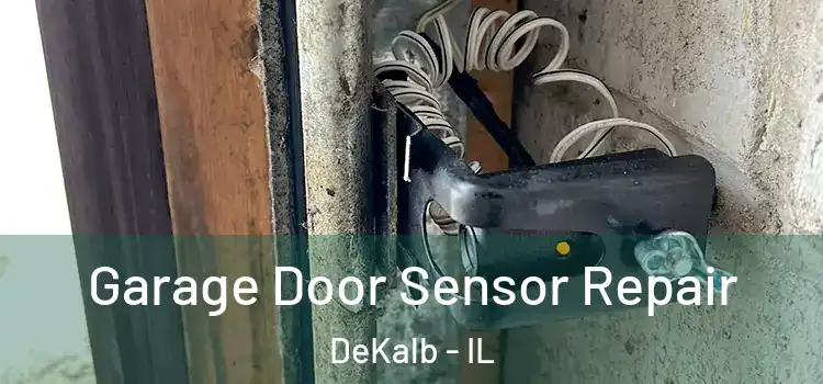 Garage Door Sensor Repair DeKalb - IL