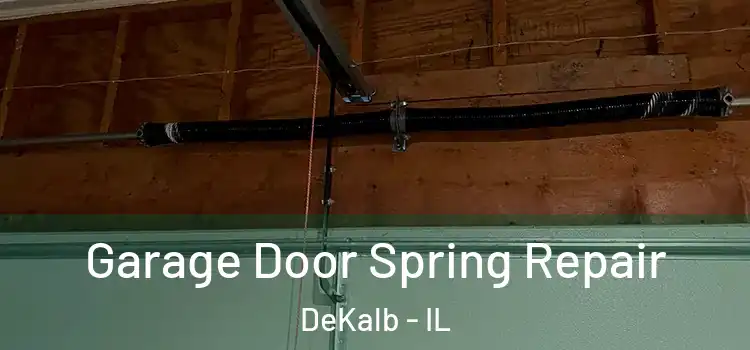  Garage Door Spring Repair DeKalb - IL