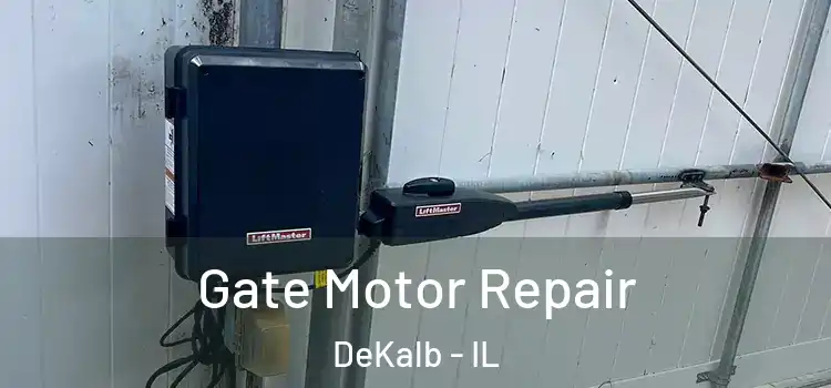  Gate Motor Repair DeKalb - IL