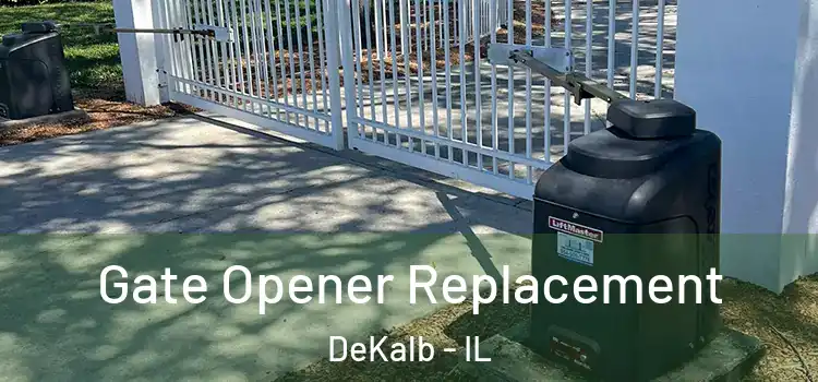  Gate Opener Replacement DeKalb - IL