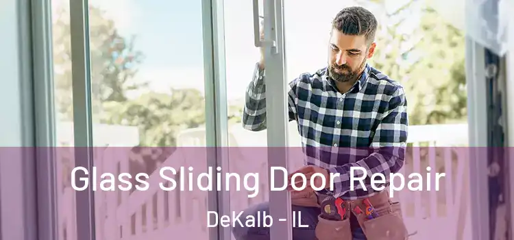  Glass Sliding Door Repair DeKalb - IL