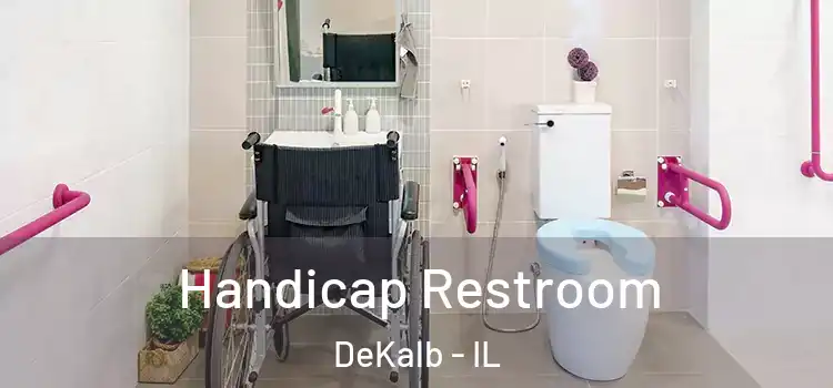  Handicap Restroom DeKalb - IL