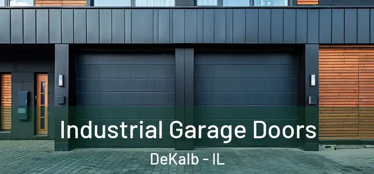  Industrial Garage Doors DeKalb - IL