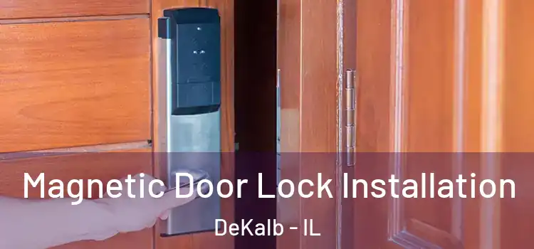  Magnetic Door Lock Installation DeKalb - IL