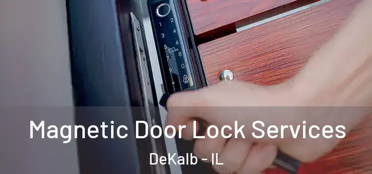 Magnetic Door Lock Services DeKalb - IL