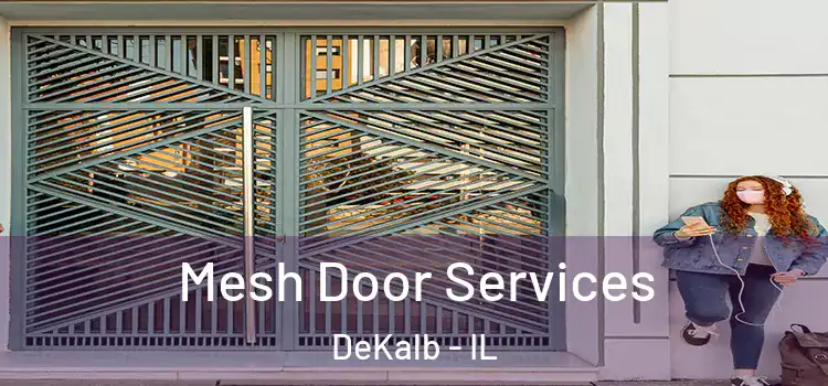  Mesh Door Services DeKalb - IL