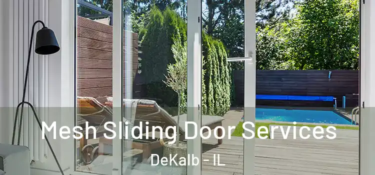  Mesh Sliding Door Services DeKalb - IL