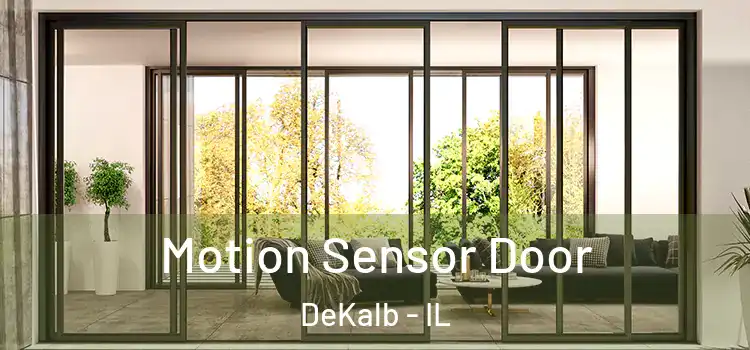  Motion Sensor Door DeKalb - IL