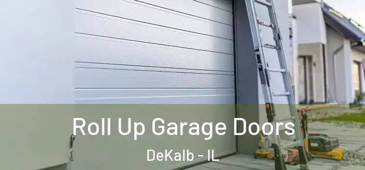  Roll Up Garage Doors DeKalb - IL
