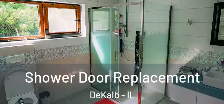  Shower Door Replacement DeKalb - IL