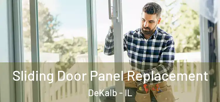  Sliding Door Panel Replacement DeKalb - IL