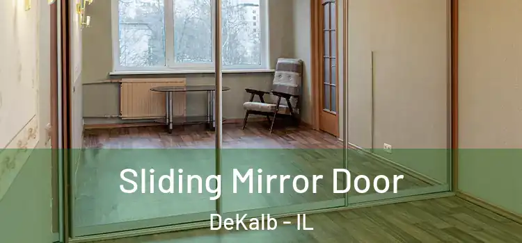  Sliding Mirror Door DeKalb - IL