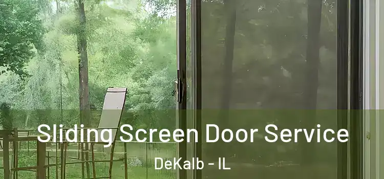  Sliding Screen Door Service DeKalb - IL