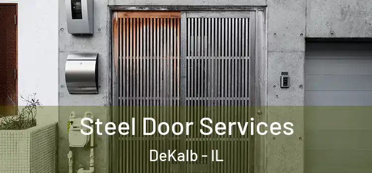  Steel Door Services DeKalb - IL