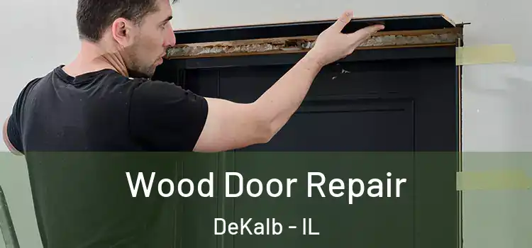  Wood Door Repair DeKalb - IL